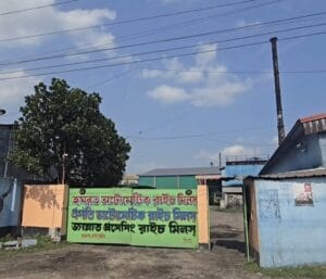 সরকারি চাল সংগ্রহে সিন্ডিকেটের দৌরাত্ম্য, কুষ্টিয়ায় বরাদ্দ বাণিজ্যের অভিযোগ