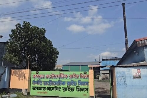 সরকারি চাল সংগ্রহে সিন্ডিকেটের দৌরাত্ম্য, কুষ্টিয়ায় বরাদ্দ বাণিজ্যের অভিযোগ