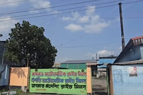 সরকারি চাল সংগ্রহে সিন্ডিকেটের দৌরাত্ম্য, কুষ্টিয়ায় বরাদ্দ বাণিজ্যের অভিযোগ