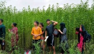 দৌলতপুর সীমান্তে পুশইনের চেষ্টা ব্যর্থ