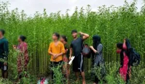 দৌলতপুর সীমান্তে পুশইনের চেষ্টা ব্যর্থ