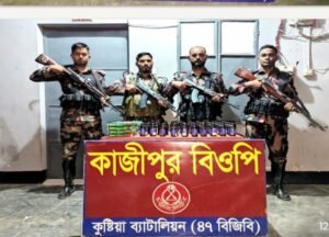 দৌলতপুর সীমান্তে বিজিবির পৃথক অভিযান