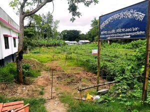 শৈলকুপায় রাতের আঁধারে প্রতিবন্ধী বিদ্যালয়ের যাতায়াতের পথ দখলের চেষ্টার অভিযোগ