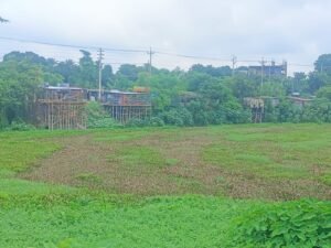 উৎসমুখ বন্ধ, কোটি টাকার দখল বাণিজ্যে মৃতপ্রায় কালীগঙ্গা