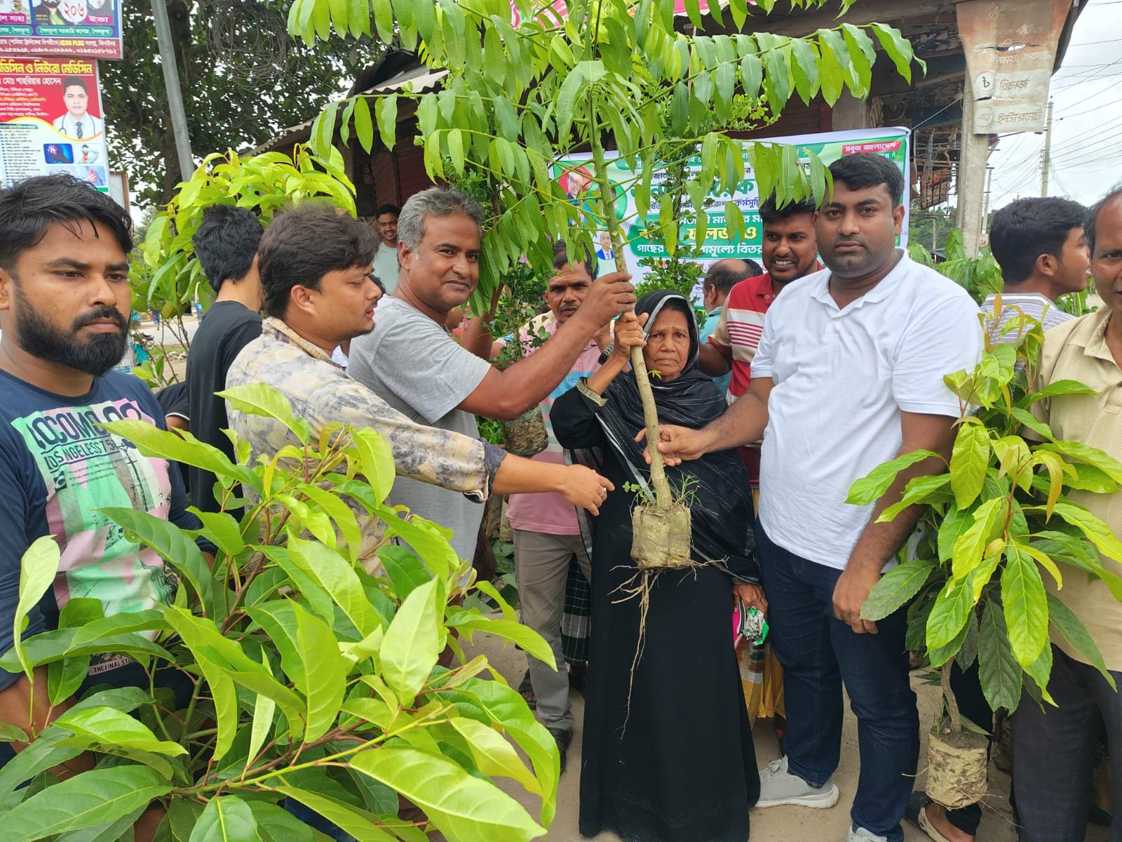 শৈলকুপায় শ্রমজীবী মানুষের মাঝে গাছের চারা বিতরণ